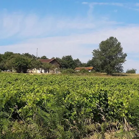 Le Canard Sur Le Dos