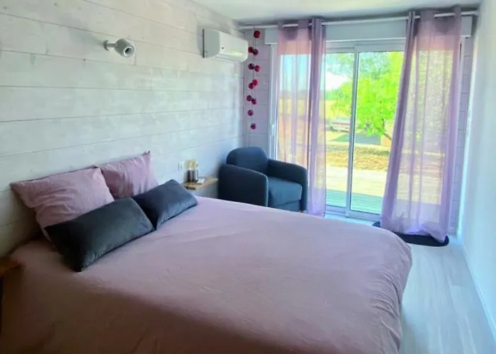 Le Canard Sur Le Dos * Averon-Bergelle