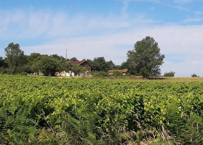 Le Canard Sur Le Dos